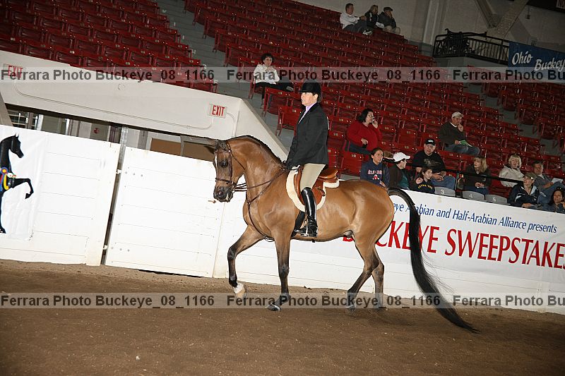 Proof buckeye_08_1166