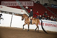 buckeye_08_1166 proof