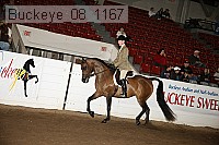 buckeye_08_1167 proof