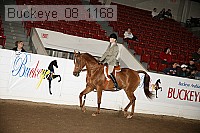 buckeye_08_1168 proof