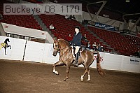 buckeye_08_1170 proof