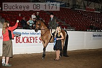 buckeye_08_1171 proof