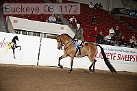 buckeye_08_1172 proof