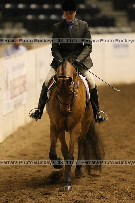 Proof buckeye_08_1175