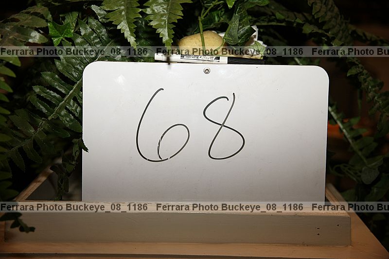 Proof buckeye_08_1186
