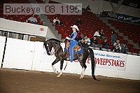 buckeye_08_1195 proof