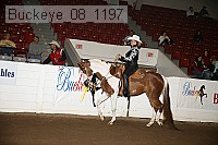 buckeye_08_1197 proof