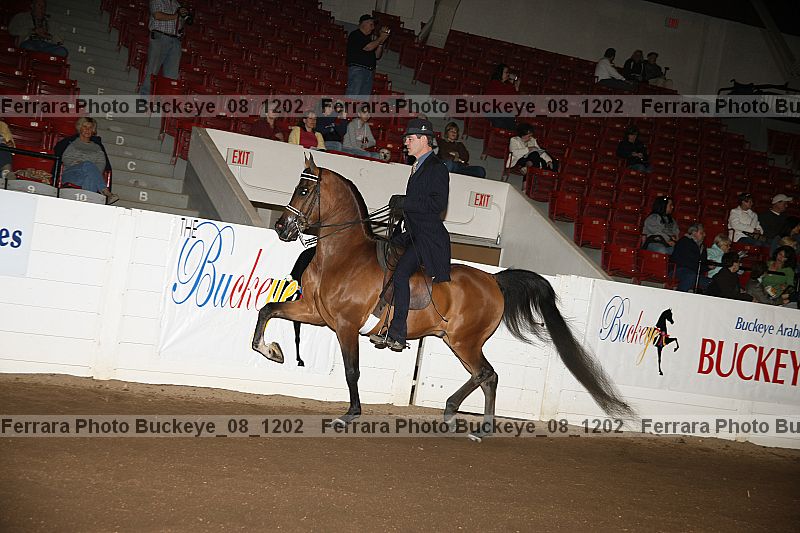 Proof buckeye_08_1202