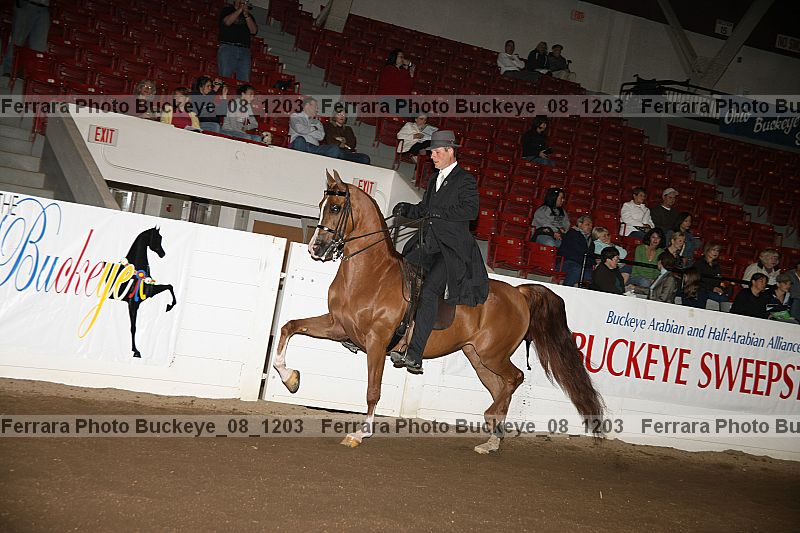Proof buckeye_08_1203