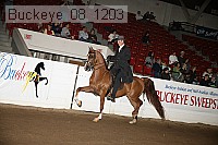 buckeye_08_1203 proof