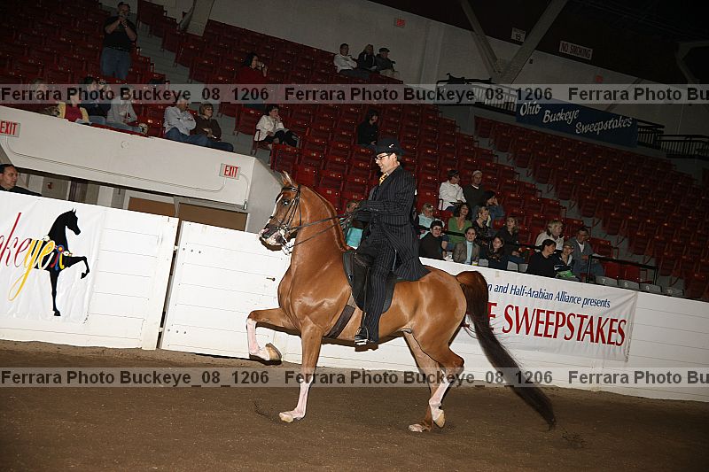 Proof buckeye_08_1206