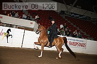 buckeye_08_1206 proof