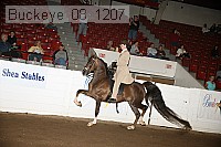 buckeye_08_1207 proof