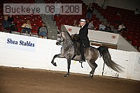 buckeye_08_1208 proof