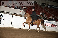 buckeye_08_1209 proof
