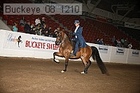 buckeye_08_1210 proof