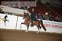 buckeye_08_1211 proof
