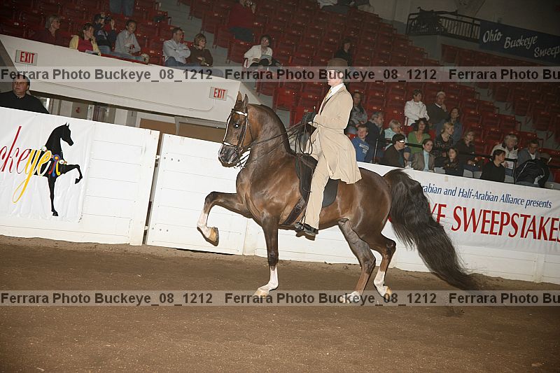Proof buckeye_08_1212