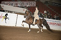 buckeye_08_1212 proof