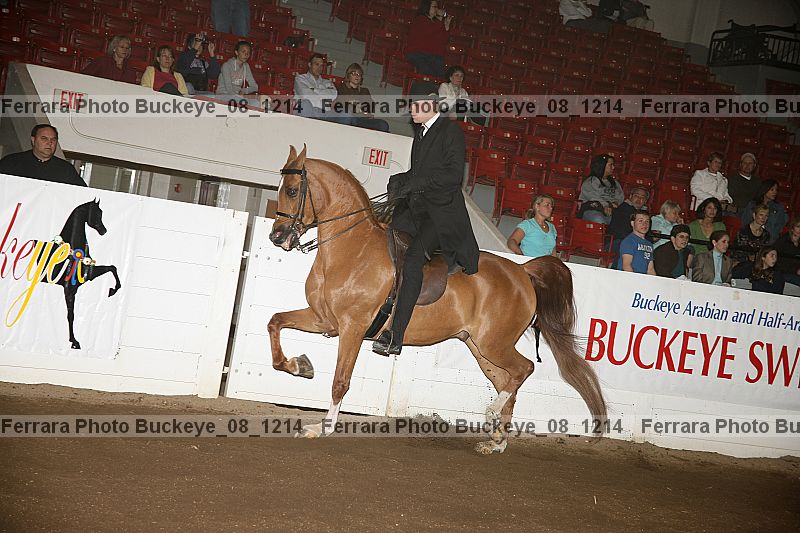 Proof buckeye_08_1214
