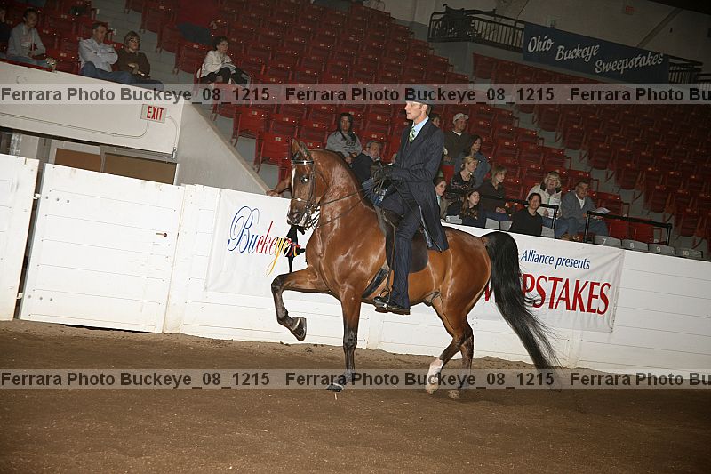 Proof buckeye_08_1215