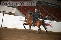 buckeye_08_1215 proof