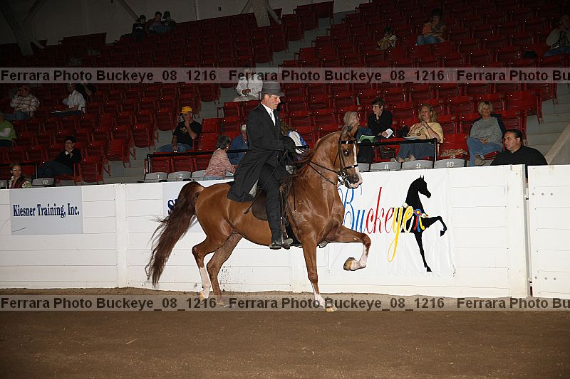 Proof buckeye_08_1216