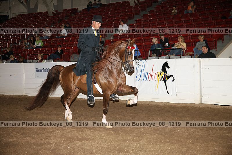Proof buckeye_08_1219