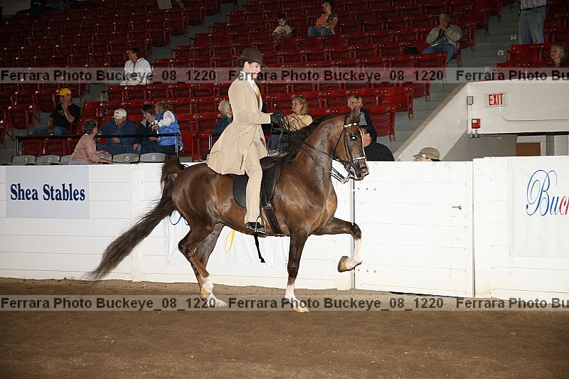 Proof buckeye_08_1220