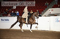 buckeye_08_1220 proof