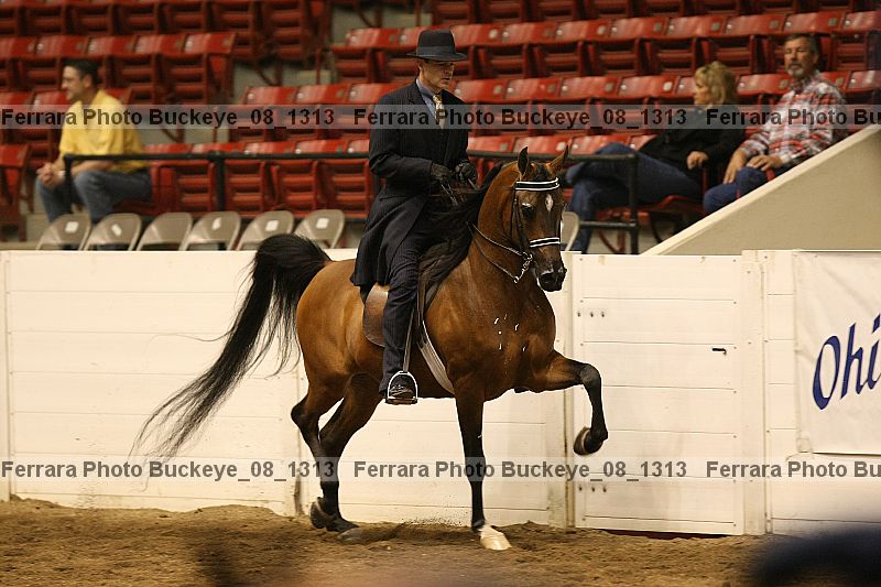 Proof buckeye_08_1313