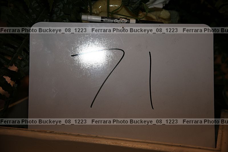 Proof buckeye_08_1223