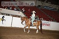 buckeye_08_1228 proof