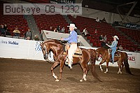 buckeye_08_1232 proof