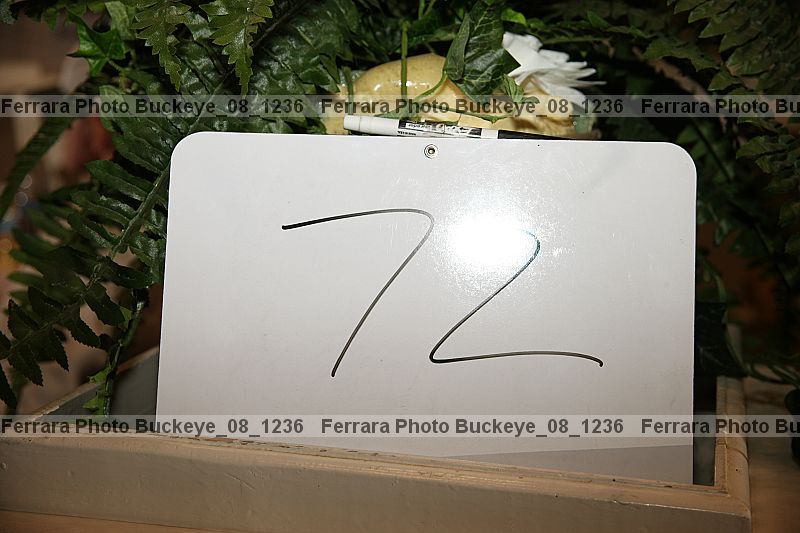Proof buckeye_08_1236