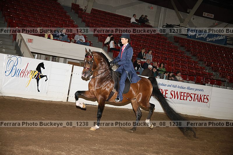Proof buckeye_08_1238