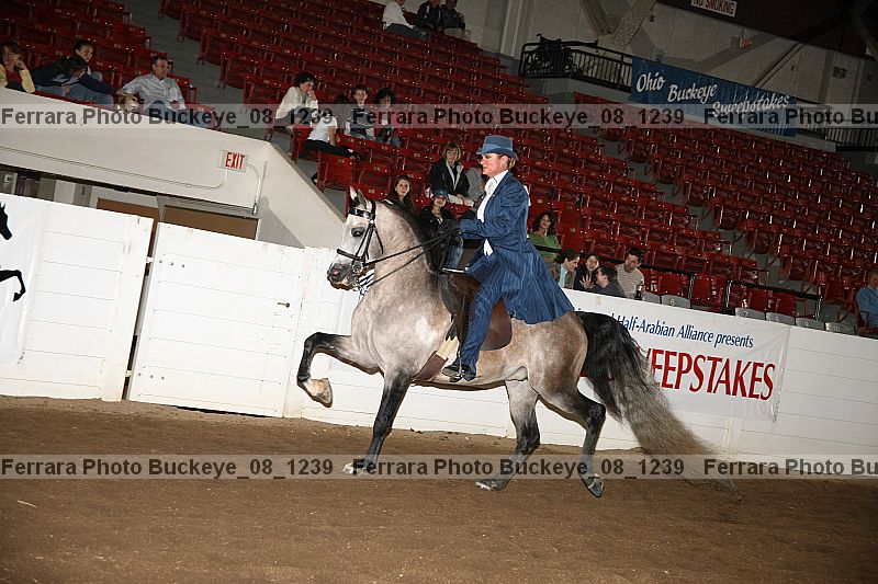 Proof buckeye_08_1239