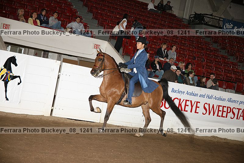 Proof buckeye_08_1241
