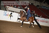 buckeye_08_1242 proof