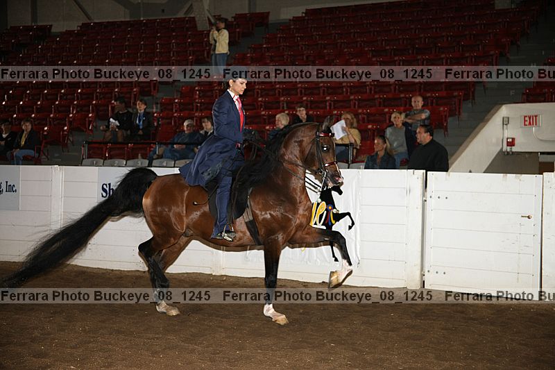 Proof buckeye_08_1245
