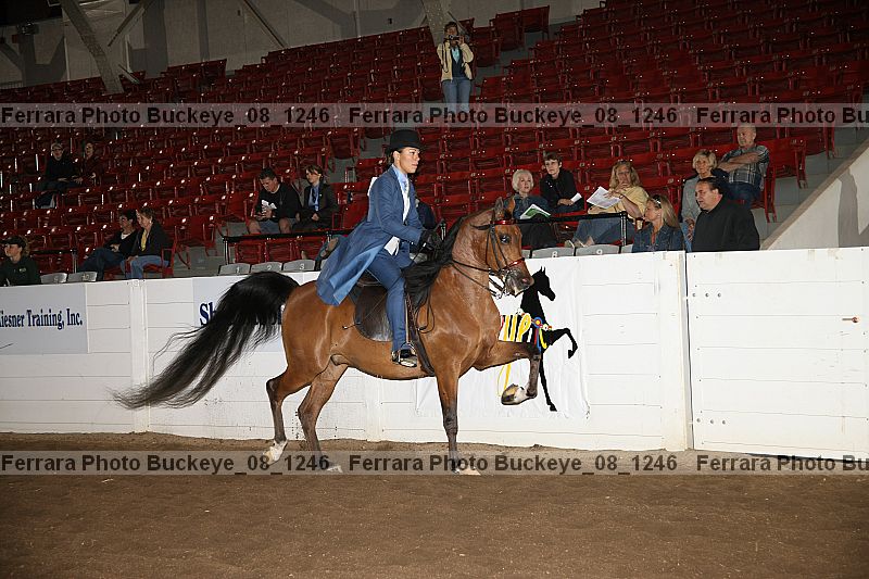 Proof buckeye_08_1246