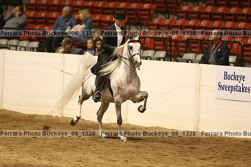Proof buckeye_08_1328