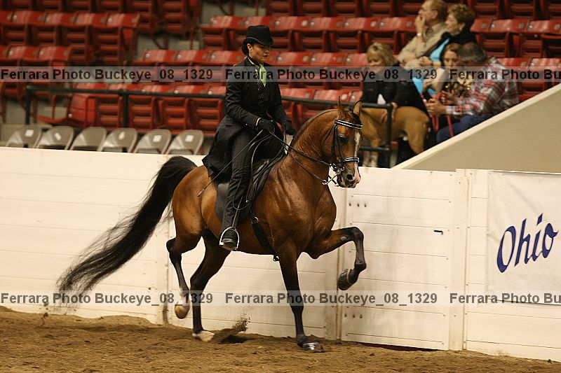 Proof buckeye_08_1329