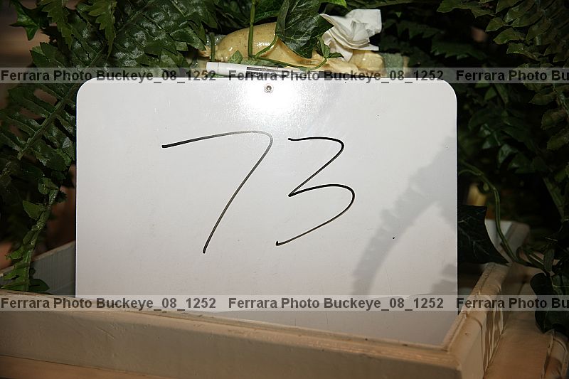 Proof buckeye_08_1252