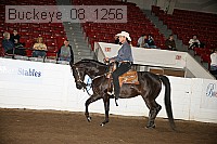 buckeye_08_1256 proof