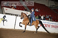 buckeye_08_1262 proof