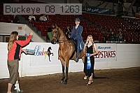 buckeye_08_1263 proof