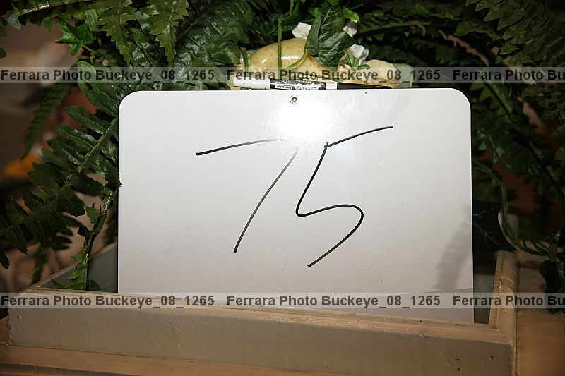 Proof buckeye_08_1265