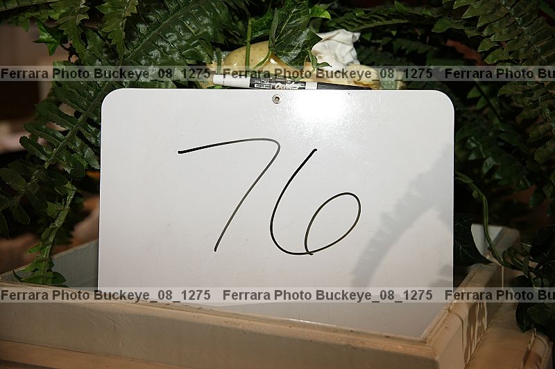 Proof buckeye_08_1275
