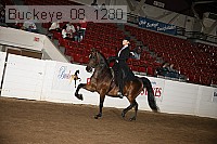 buckeye_08_1280 proof